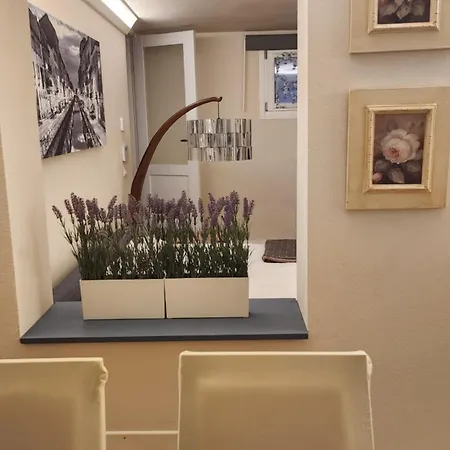 Nocleg ze śniadaniem Comfort Malpensa Check In H 24 Posto Auto Privato