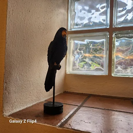 Comfort Malpensa Check In H 24 Posto Auto Privato 4*