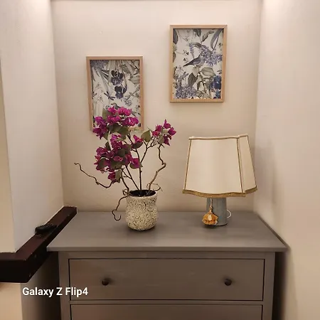 Comfort Malpensa Check In H 24 Posto Auto Privato ベッド・アンド・ブレックファスト 4*