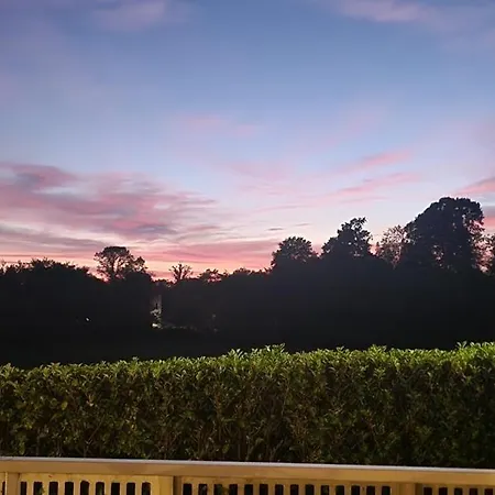 Comfort Malpensa Check In H 24 Posto Auto Privato ベッド・アンド・ブレックファスト