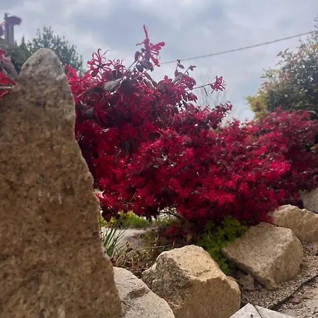 Comfort Malpensa Check In H 24 Posto Auto Privato ベッド・アンド・ブレックファスト 4*